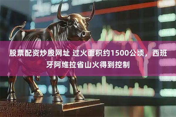 股票配资炒股网址 过火面积约1500公顷，西班牙阿维拉省山火得到控制