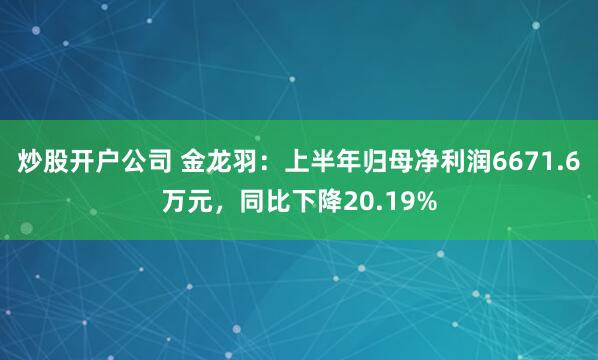 炒股开户公司 金龙羽：上半年归母净利润6671.6万元，同比下降20.19%